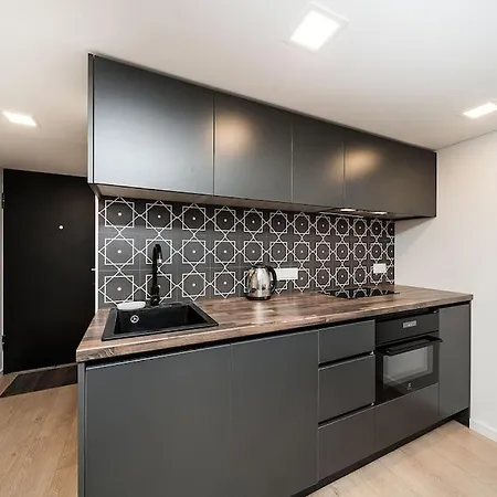 Stylish Loft With An Amazing Roof Top Terrace By Urban Rent Apartment Kaunas