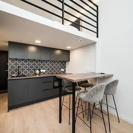 Stylish Loft With An Amazing Roof Top Terrace By Urban Rent * Kaunas
